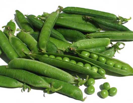 豌豆种植方法